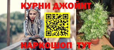 СК Ирбит