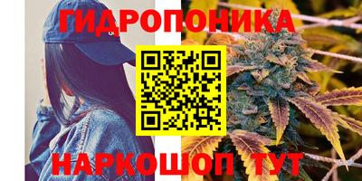 гашик Ипатово