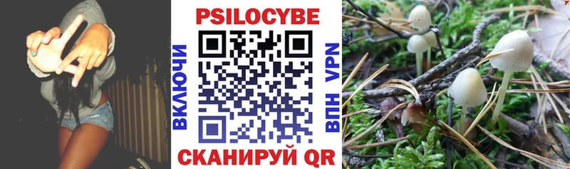 где найти   Осинники  mega ТОР  Псилоцибиновые грибы Cubensis 
