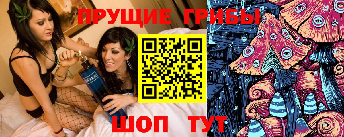 Псилоцибиновые грибы прущие грибы  Вход с VPN  Осинники 